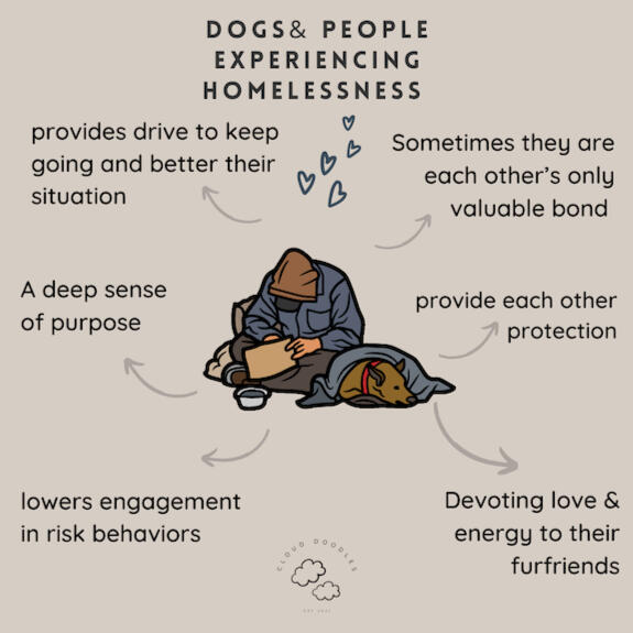 Busting myths about people experiencing homelessness and their dogs Cloud Doodles