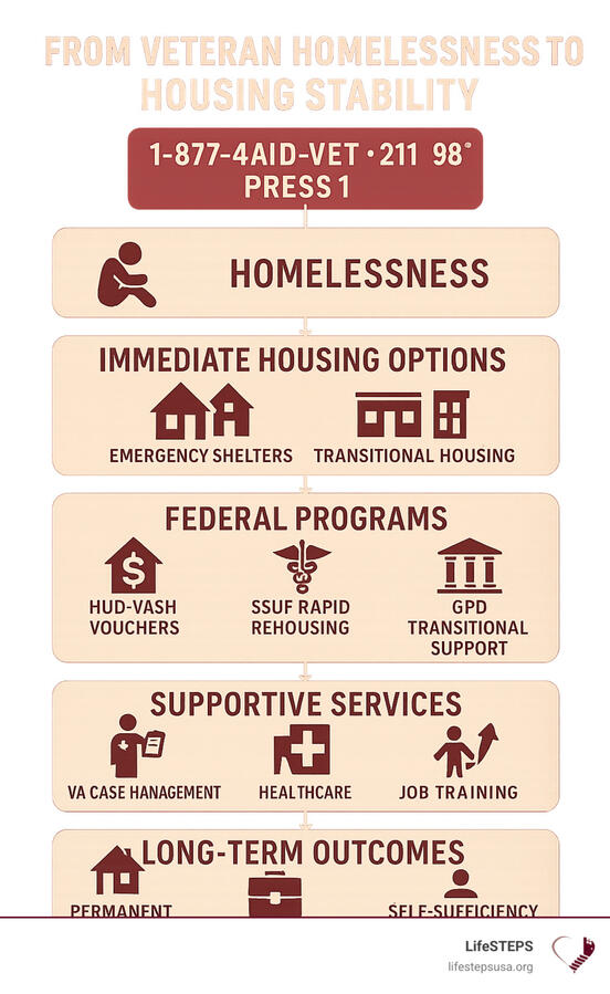 From Policy to Practice: Government Help for Homeless Veterans